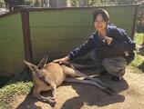カンガルーにタッチ